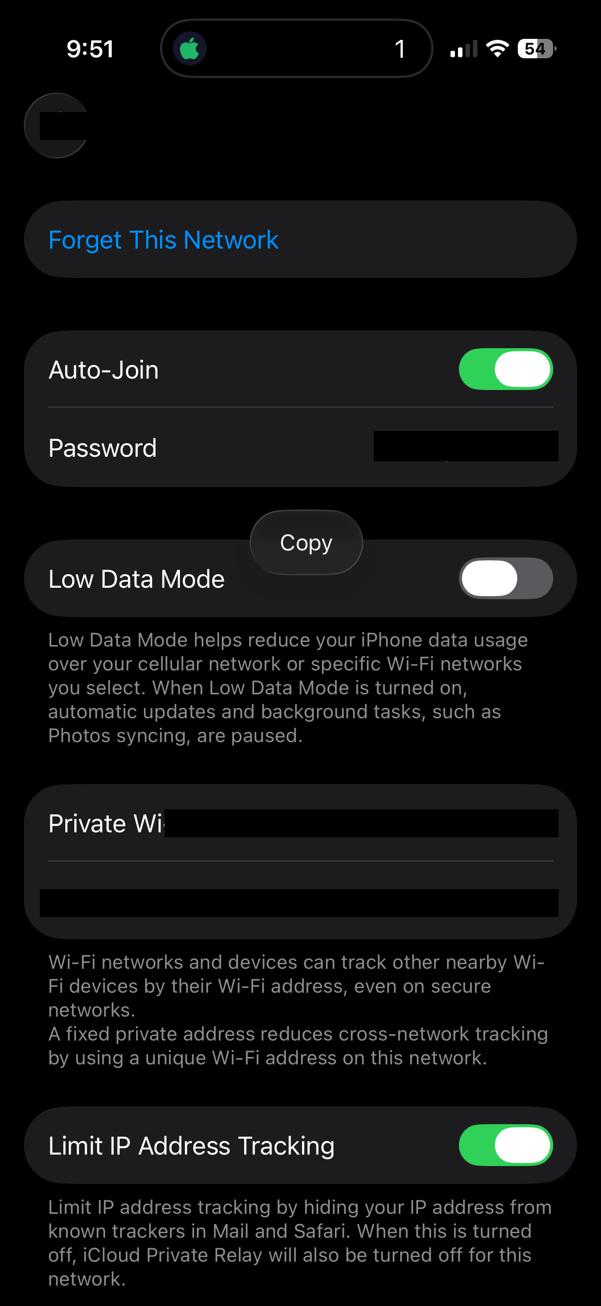 iPhone network details screen with WiFi password revealed and Copy button visible